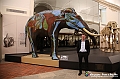 VBS_0907 - Riapre il Museo di Scienze Naturali dopo dieci anni di chiusura